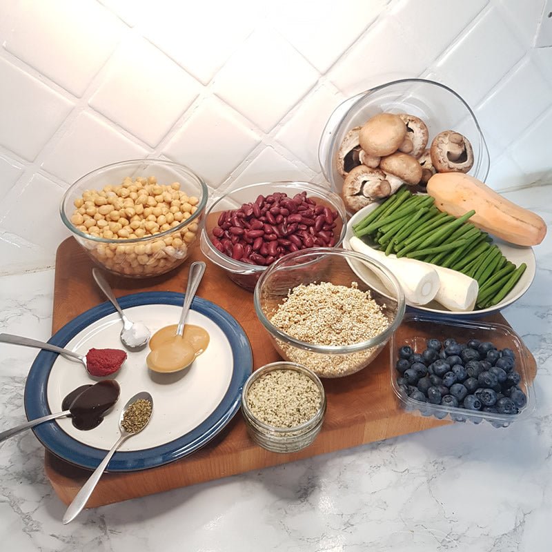 Hearty Umami Stew Homemade Recipe for dogs