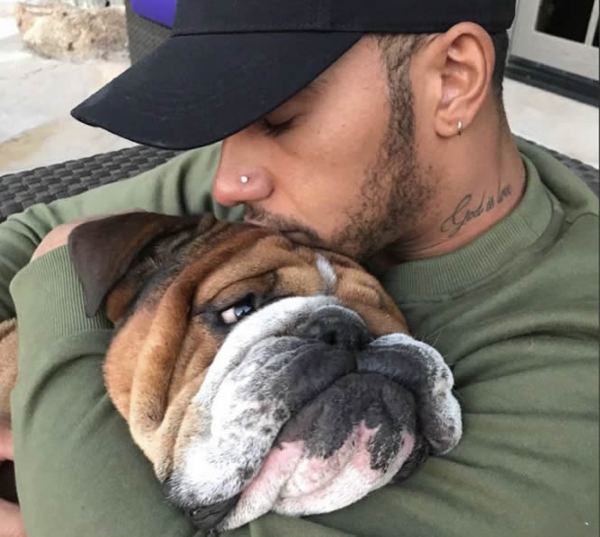 My Dog Is Really Itchy – Will A Vegan Diet Help?