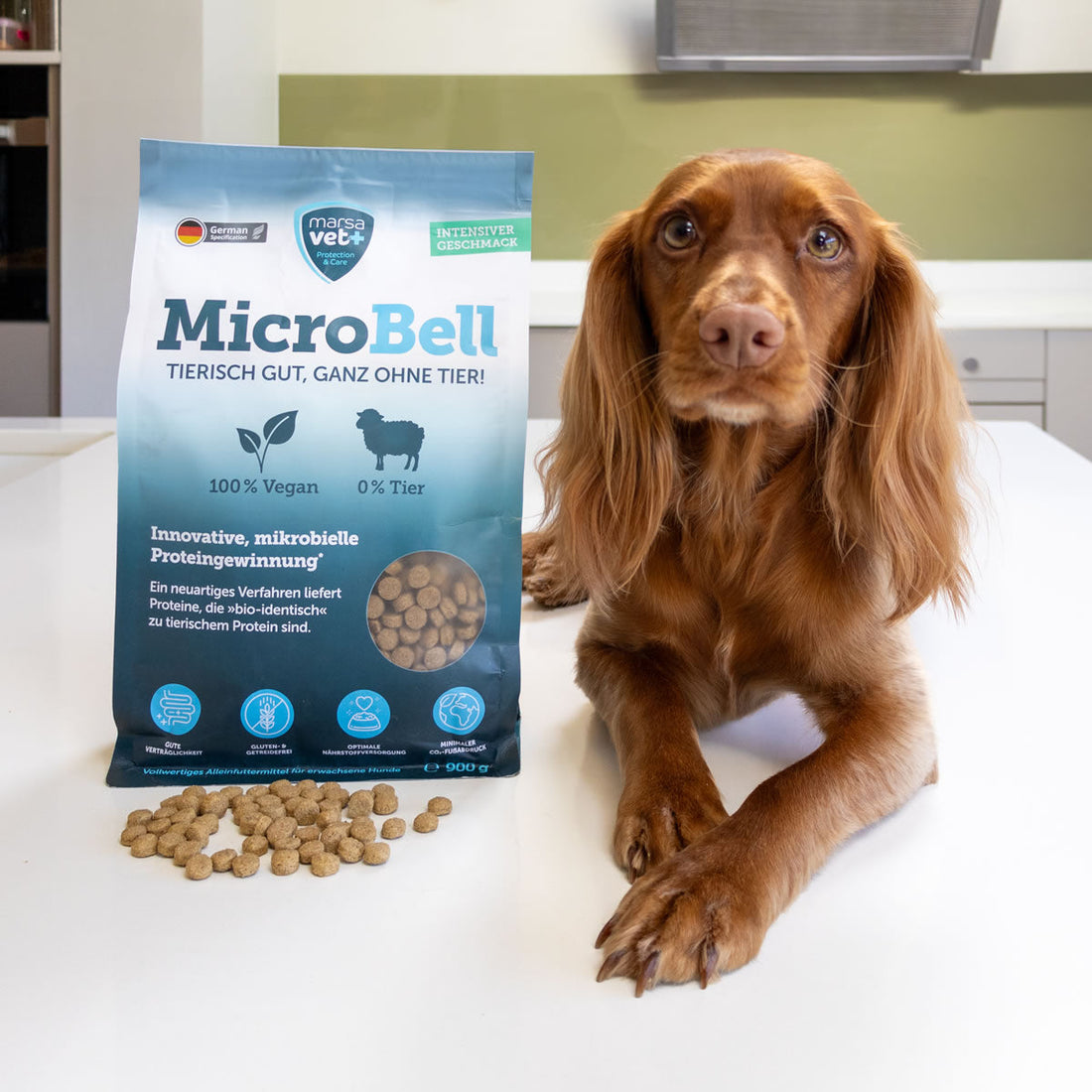 Microbell dog food with a Spaniel