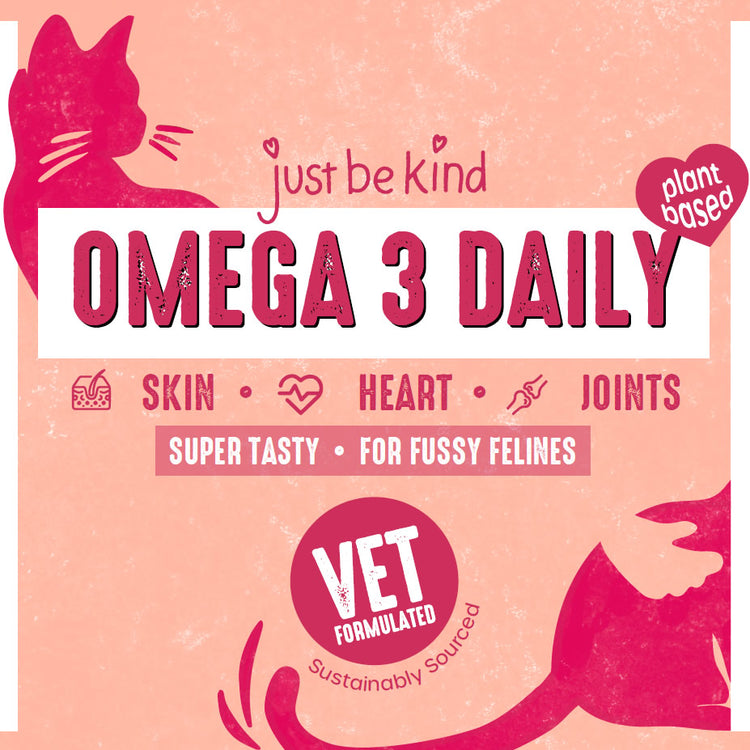 Omega 3 Algae Oil for fussy felines