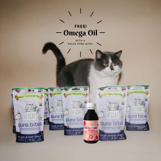 FREE Omega 3 Algae oil bottle with 6 packs PURE BITES