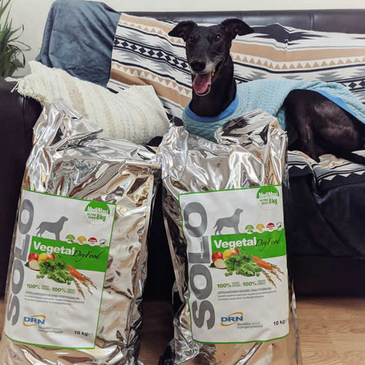 Greyhound with 2 bags of grain free Solo Vegetal 10kg bags