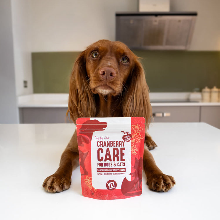 Cranberry Care soothing ladder supplement