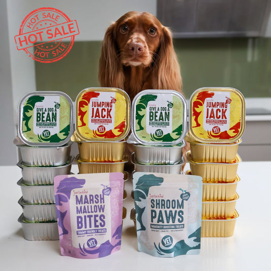 Dog with treats labelled 'Jumping Jack', 'Give a Dog a Bean', 'Marshmallow Bites', and 'Shroom Paws' on a white surface with plant-based Spaniel.