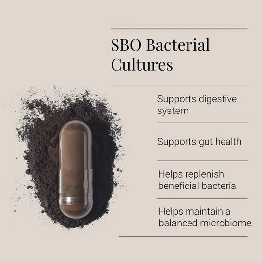 Capsule with dark powder around it on a beige background, promoting SBO bacterial cultures.
