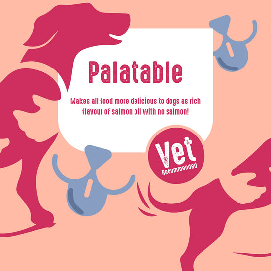 Omega 3 Algae oil for dogs