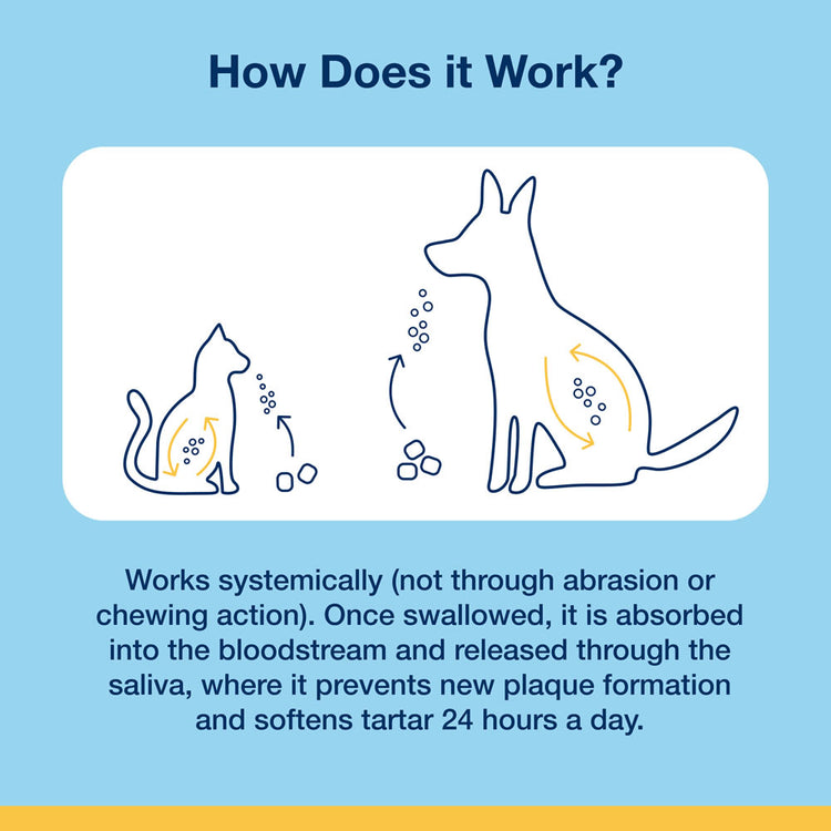 Proden PlaqueOff Soft Chews