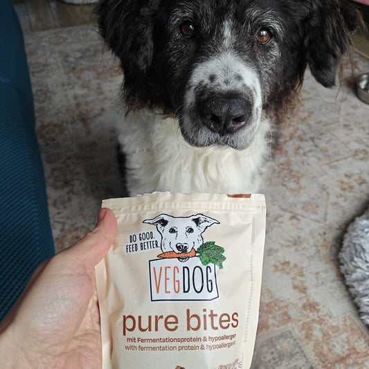 Dog looking at a 'VegDog pure bites'