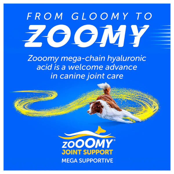 Zooomy Hyaluronic Acid Joint Care Dogs