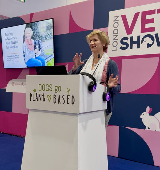Dr Arielle speaks to vets at London Vet show