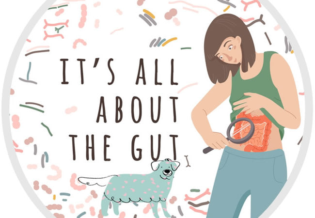 It's all about the gut - lady looking at her gut and a smiling dog.