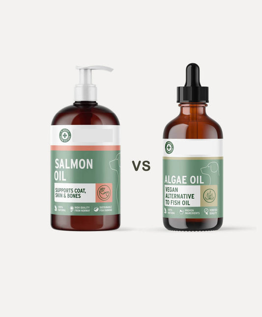 Pet supplement salmon oil vs sustainable pure Algae oil