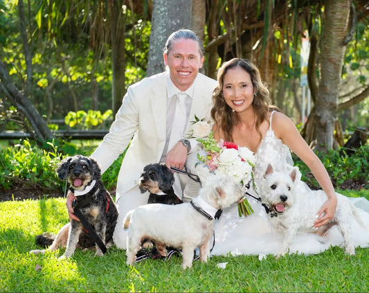 Brad Dalrymple and dogs from Kulay dogs