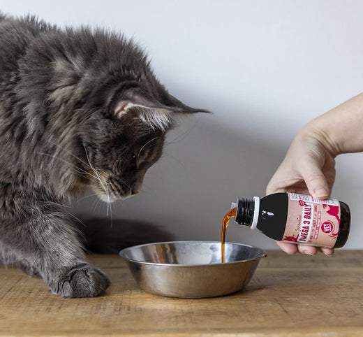 Omega 3 Algae delicious vegan salmon oil for cats 