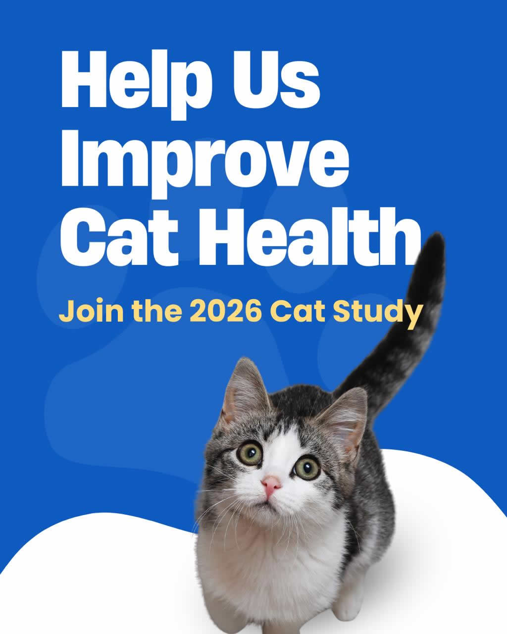 Join the 2026 cat health study