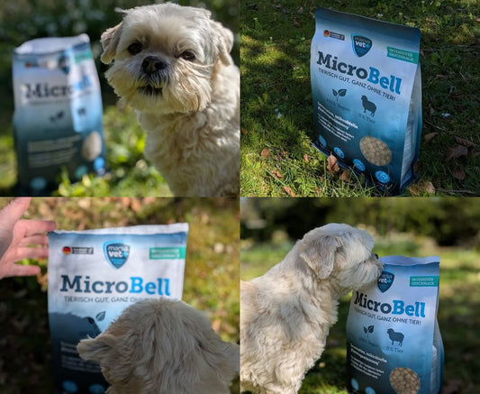 Shi Tzu eats innovative plant-based dog food Microbell
