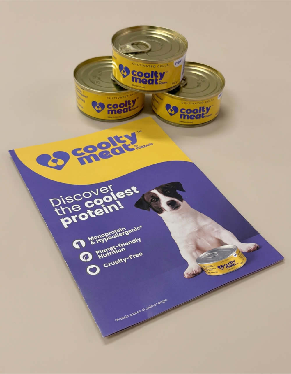 Coolty cultivated meat for dogs launches