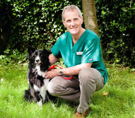 Dr David Bentley feeds his own dog Solo Vegetal