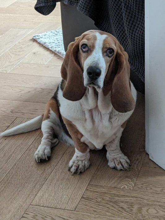 Dolly's skin managed with Solo Vegetal!