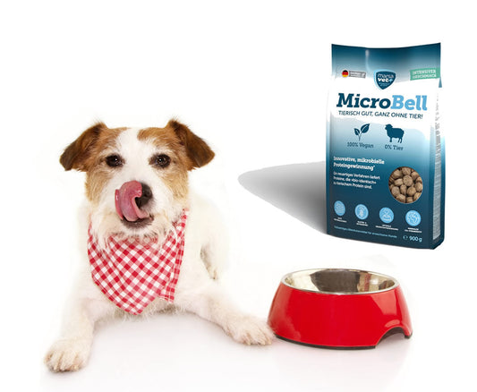 MicroBell new groundbreaking pure protein from bacterial fermentation