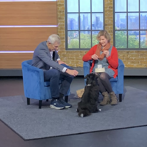 Dr Arielle and vegan dog Ruff invited to appear on Jeremy Vine Live