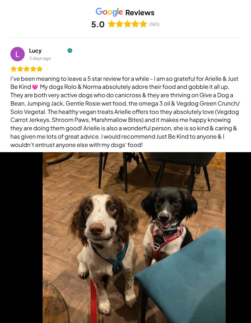 Google review Just Be Kind Dog food 5 star