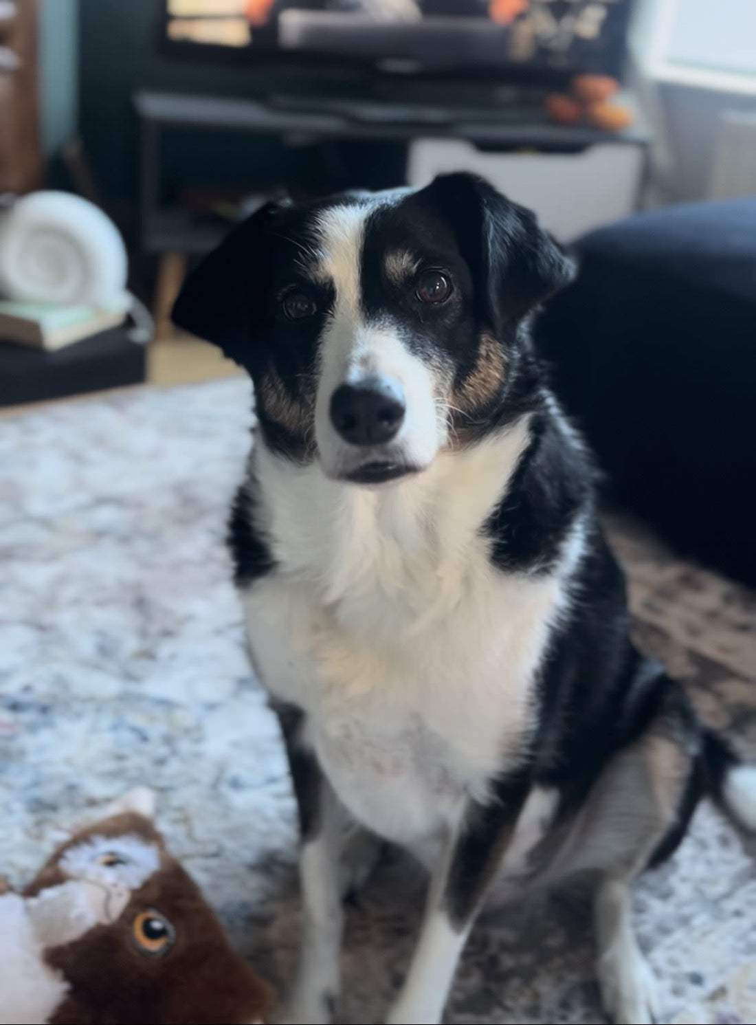 Luna with kidney results