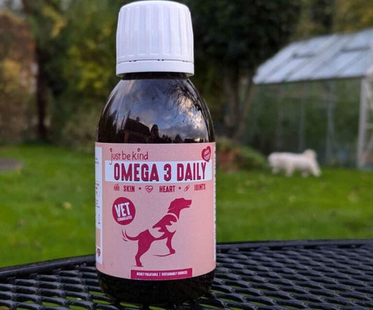 Omega 3 Daily Supplement with dog Coco in background 