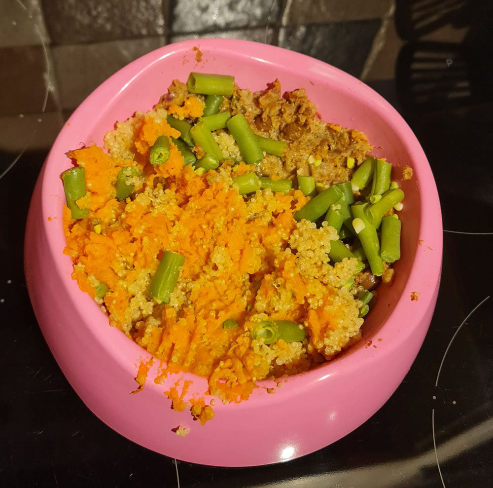Home cooked plant-based soothing recipe for dogs