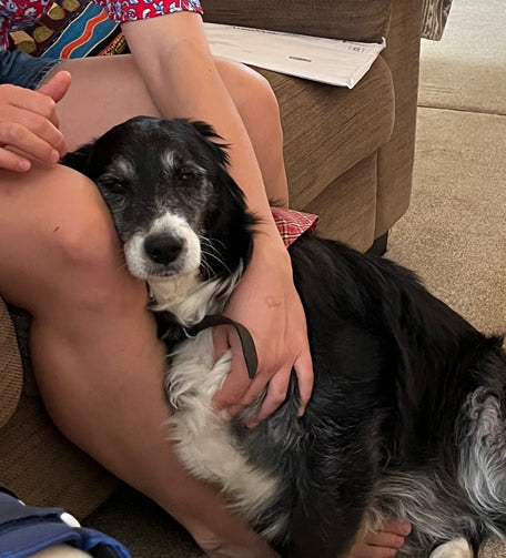 Sensitive dog Ruff cuddling up with his family members
