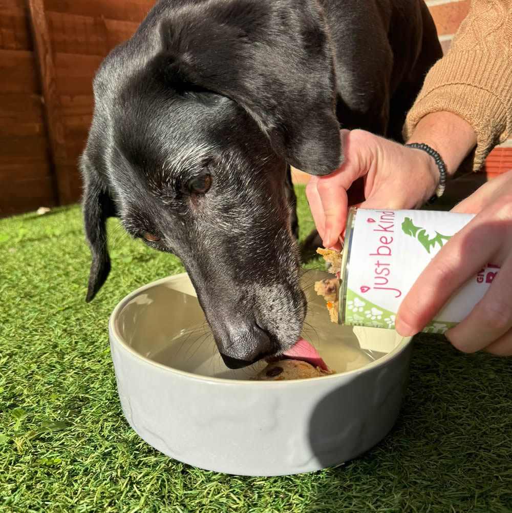 Give A Dog A Bean being eaten by Starla rescue dog and she loves it!