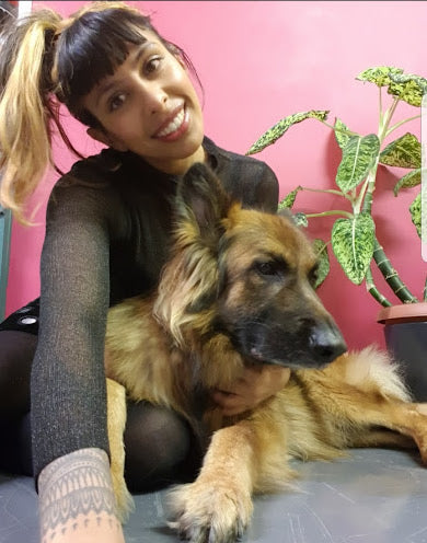 Taz and plant-based German Shepherd George