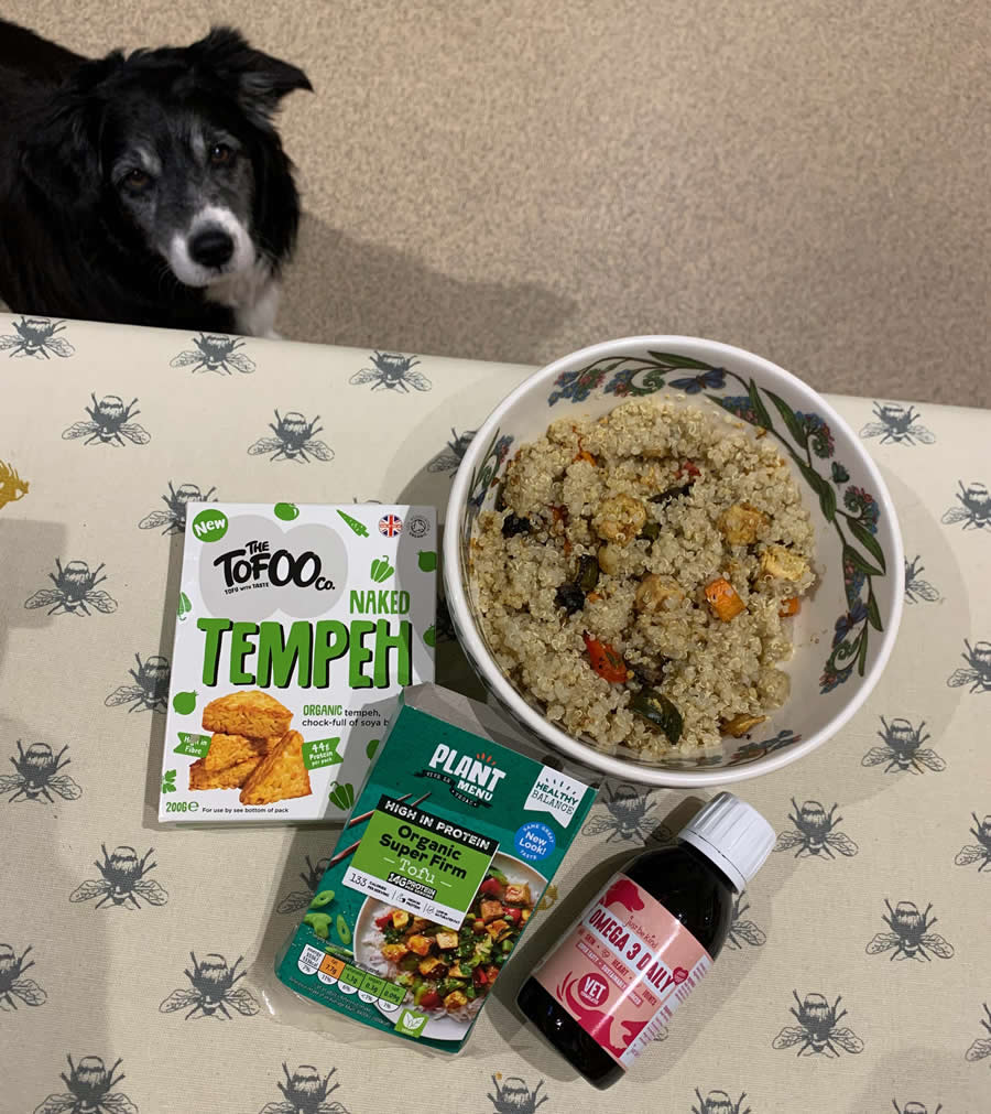 Ruff and tofu lunch with Omega 3 oil, quinoa and tempeh
