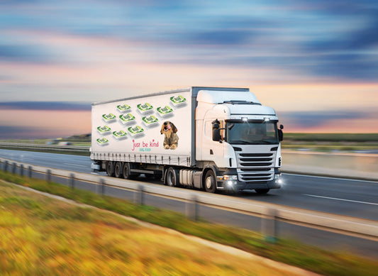 Surge In Sales Give A Dog A Bean!