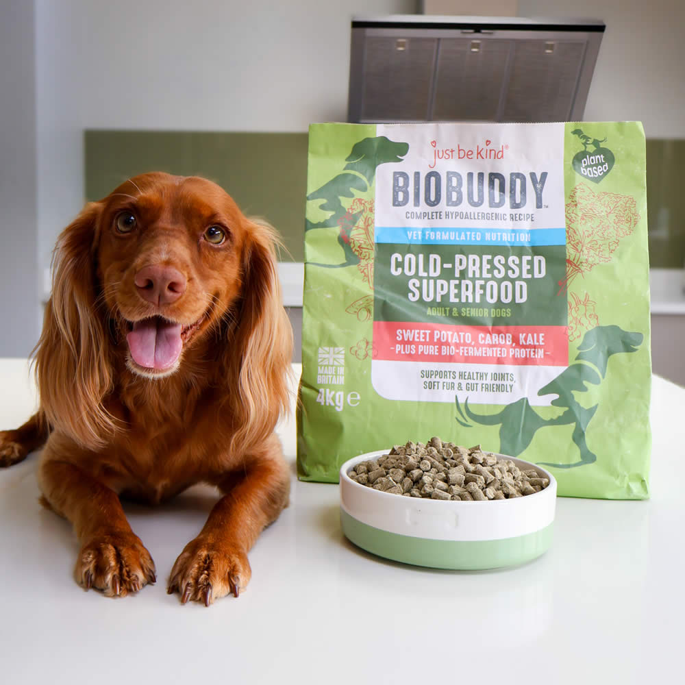 Spaniel Willow sitting next to a pack of 4kg BioBuddy Cold-Pressed Superfood