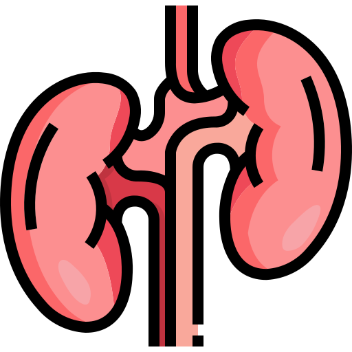 Kidney & Urinary Health