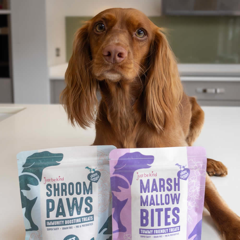 Healthy Treats and Best Dental Chews