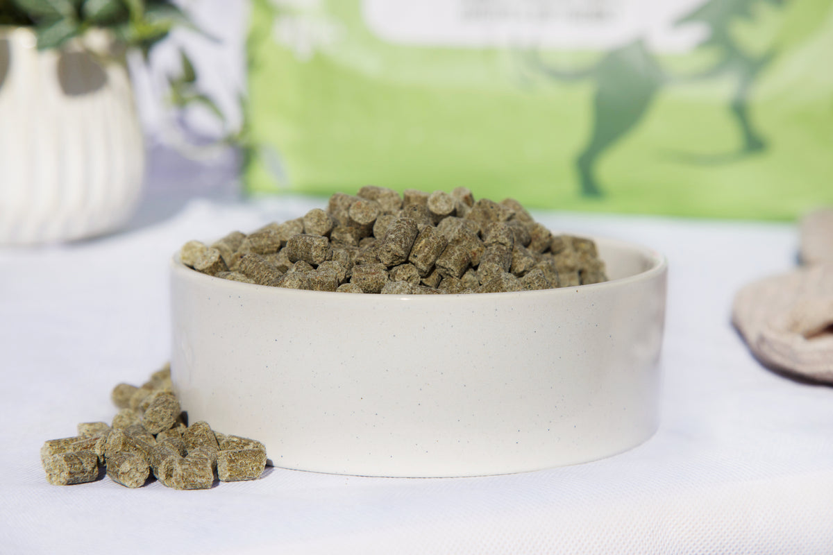 A white ceramic bowl filled with BioBuddy, with a few pieces spilled in front, set on a white surface with a blurred green bag in the background.