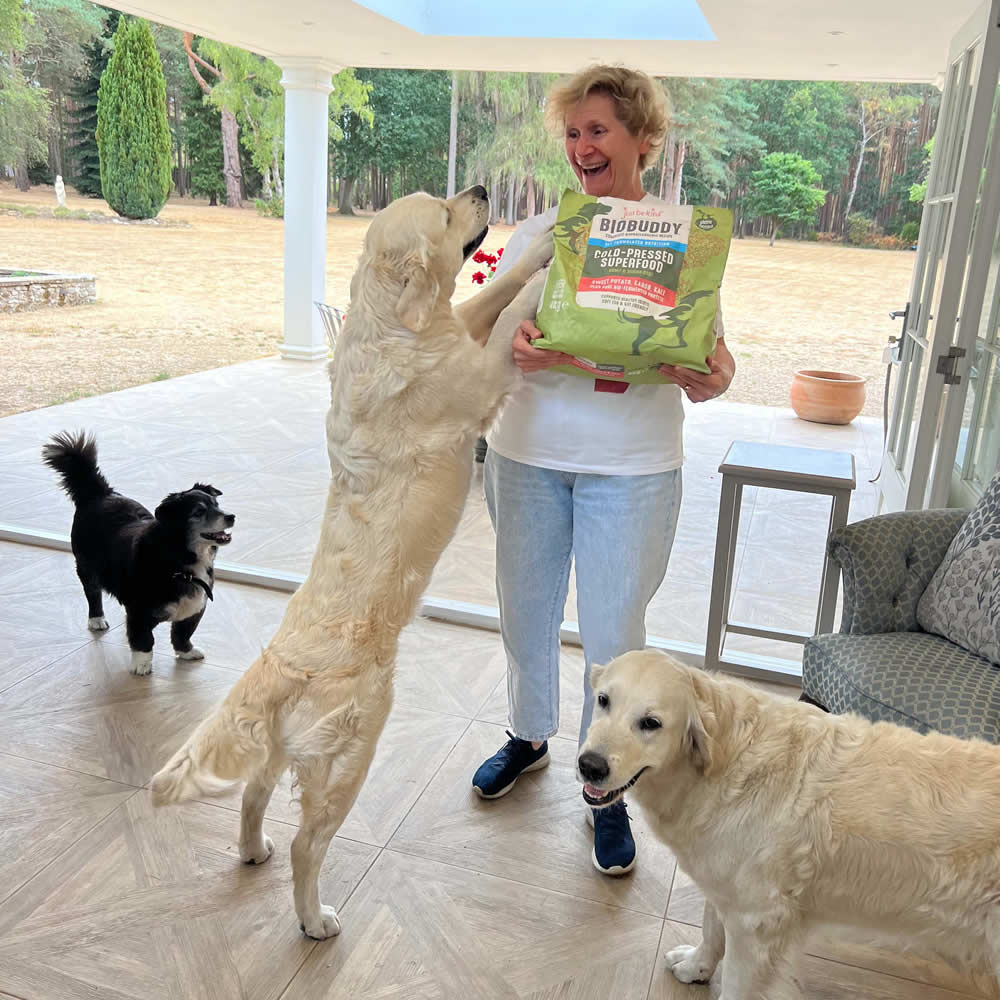 Dr Arielle with BioBuddy bag and Ruff and happy Retriever Lucia jumping up