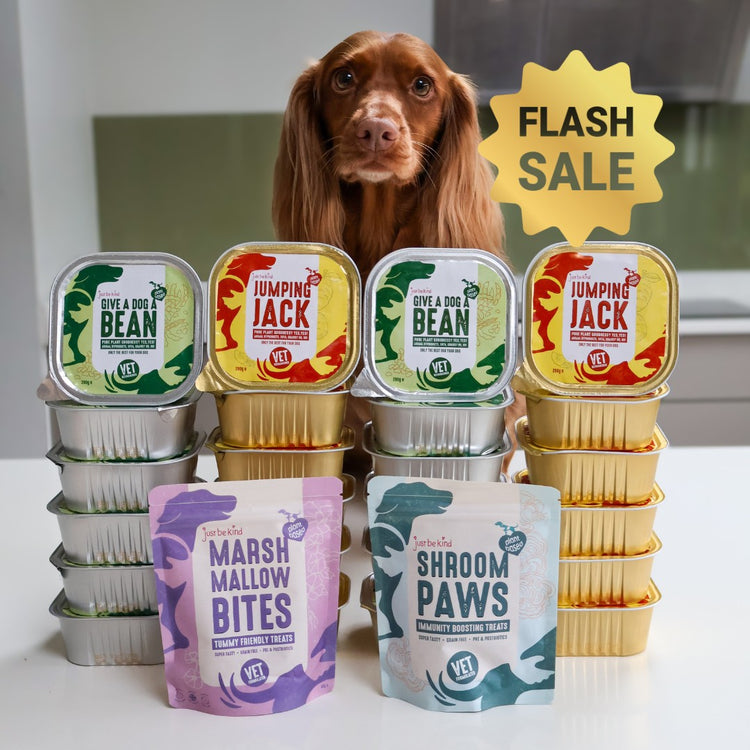 Flash sale of Jumping Jack, Give A Dog A Bean and treats with Spaniel Willow