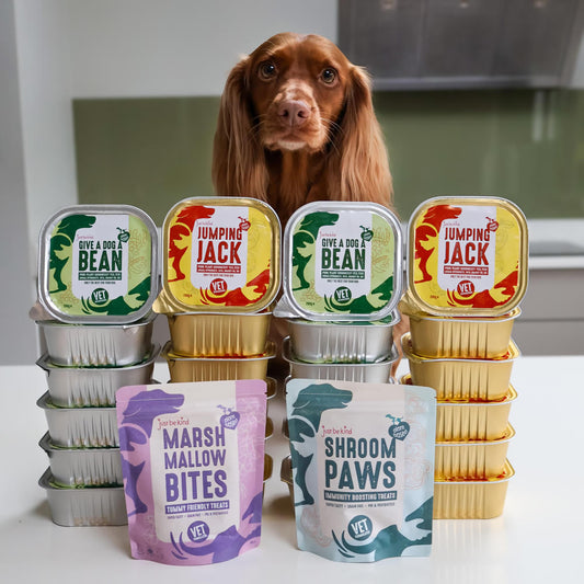 Mix n Match BEST WET FOODS SPECIAL