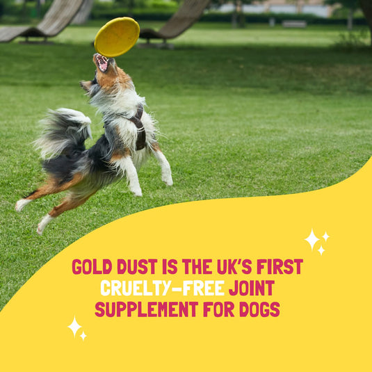 Nourish your dogs' joints naturally