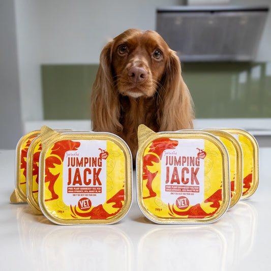 Jumping Jack Gold 6 trays and dog willow