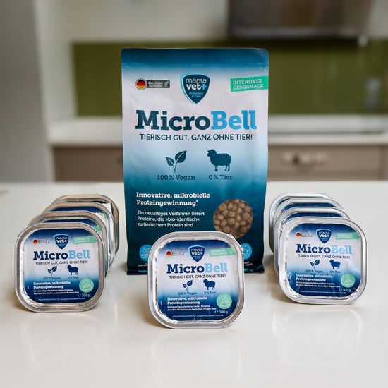 MicroBell dry and wet trays innovative dog food at its finest