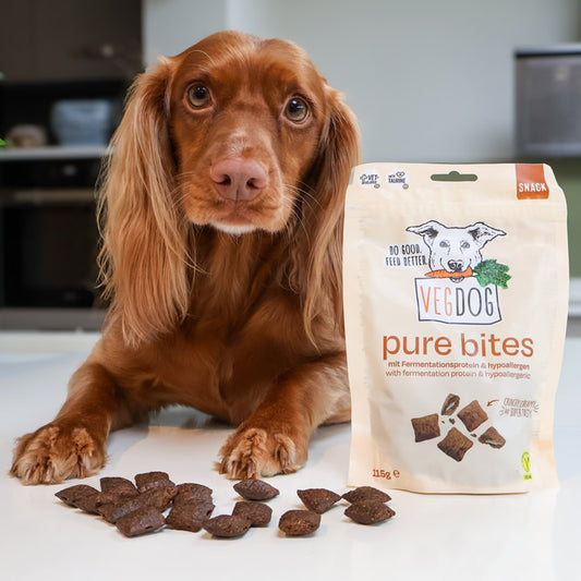 Pure Bites dog treats and Spaniel
