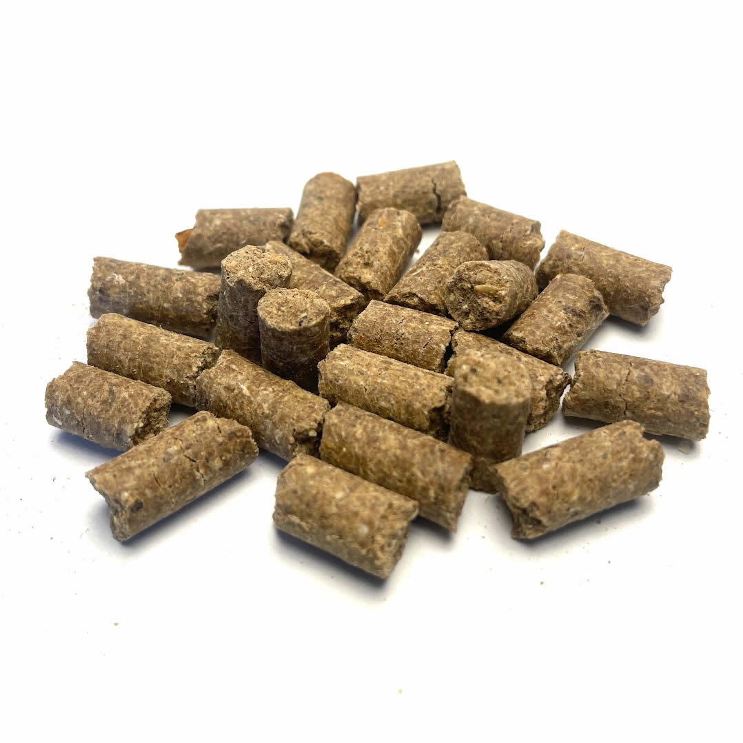 BioBuddy cold-pressed nuggets