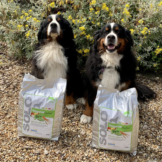Two dogs with two solo vegetal bags