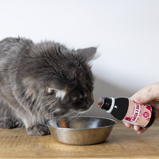 Omega 3 vegan salmon oil for cats mixed with Ami food