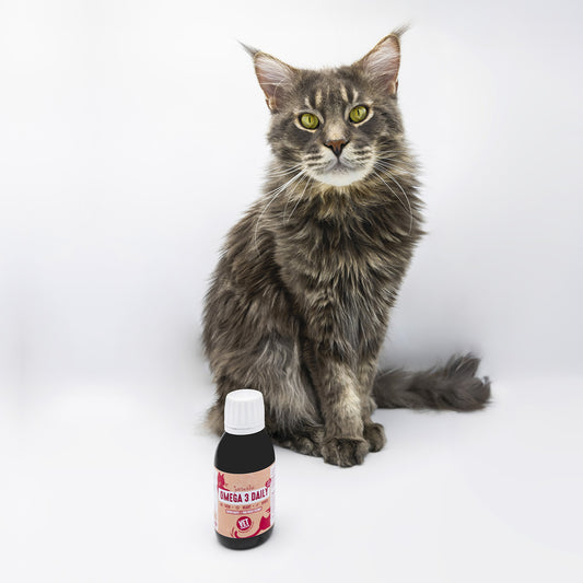 Vegan Salmon Oil with beautiful cat