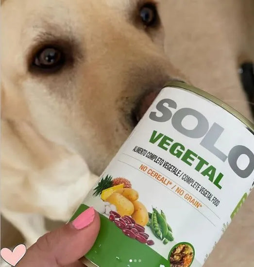 Solo Vegetal with dog